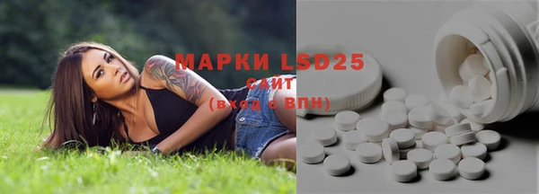 spice Алексин