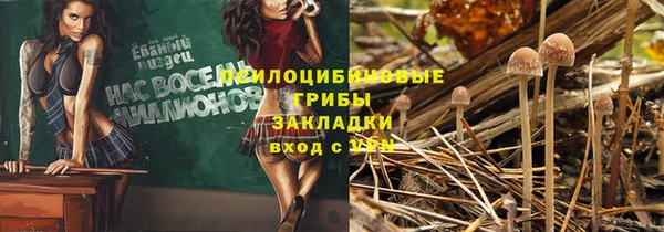 spice Алексин