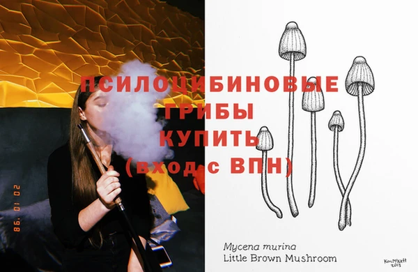 spice Алексин